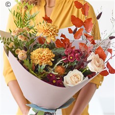 Calming Chrysanthemum